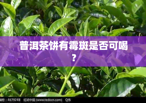 普洱茶饼有霉斑是否可喝？