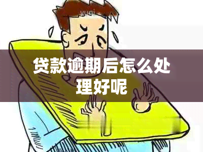 贷款逾期后怎么处理好呢