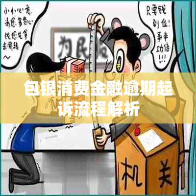 包银消费金融逾期起诉流程解析