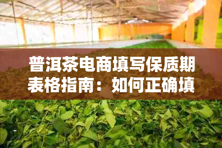 普洱茶电商填写保质期表格指南：如何正确填写保质期？