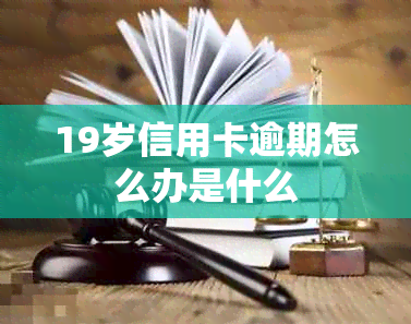 19岁信用卡逾期怎么办是什么