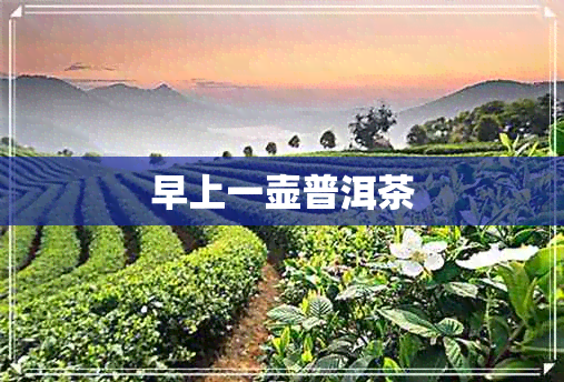 早上一壶普洱茶