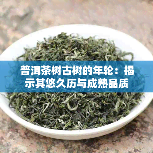 普洱茶树古树的年轮：揭示其悠久历与成熟品质