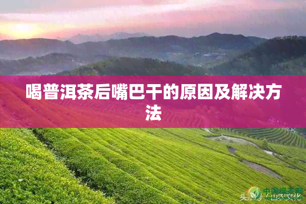 喝普洱茶后嘴巴干的原因及解决方法