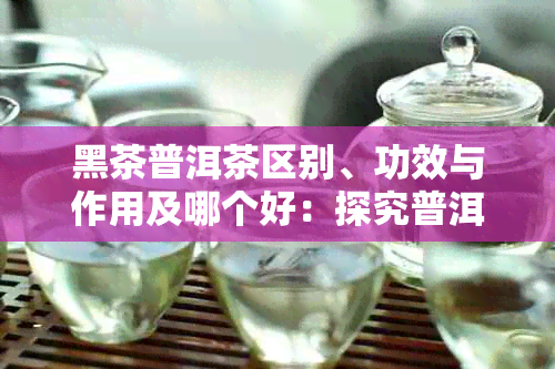 黑茶普洱茶区别、功效与作用及哪个好：探究普洱茶的两种类型及其独特功效