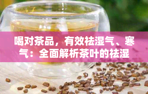 喝对茶品，有效祛湿气、寒气：全面解析茶叶的祛湿与驱寒功效及适用人群