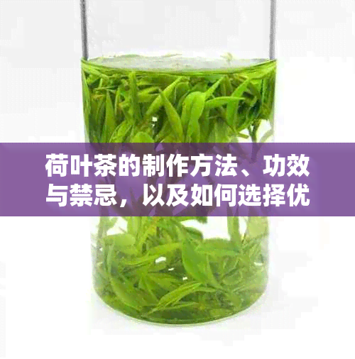 荷叶茶的制作方法、功效与禁忌，以及如何选择优质的荷叶