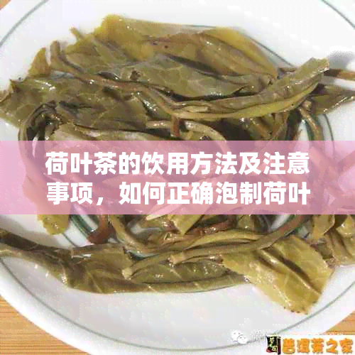 荷叶茶的饮用方法及注意事项，如何正确泡制荷叶茶？