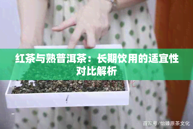 红茶与熟普洱茶：长期饮用的适宜性对比解析