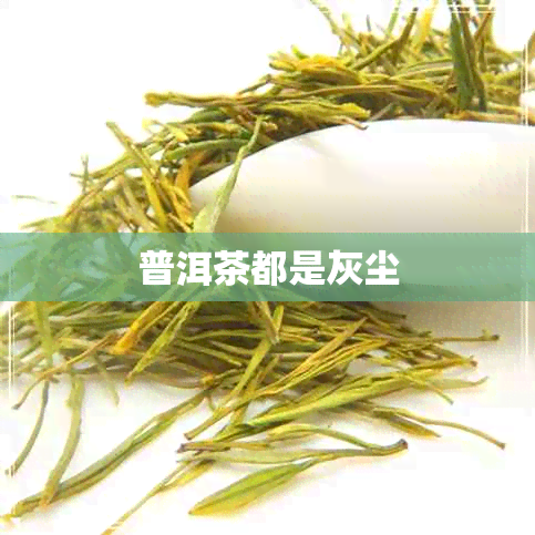 普洱茶都是灰尘