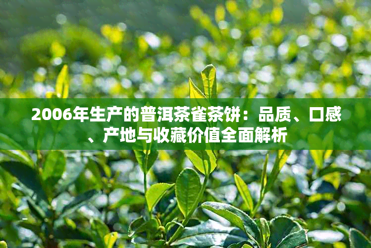 2006年生产的普洱茶雀茶饼：品质、口感、产地与收藏价值全面解析