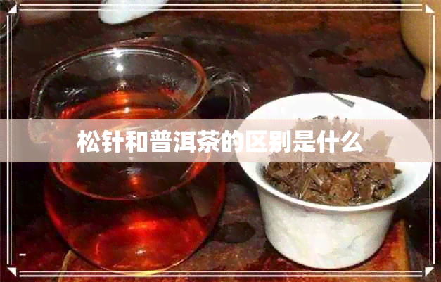 松针和普洱茶的区别是什么