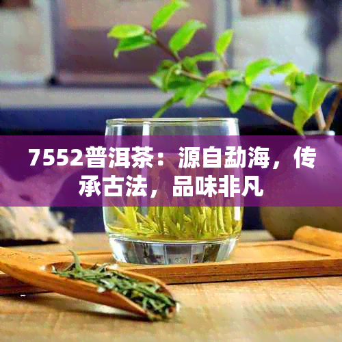 7552普洱茶：源自勐海，传承古法，品味非凡