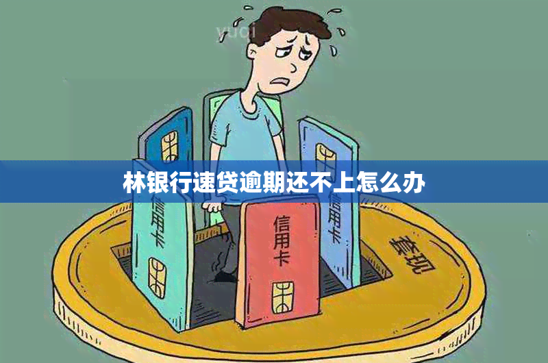 林银行速贷逾期还不上怎么办