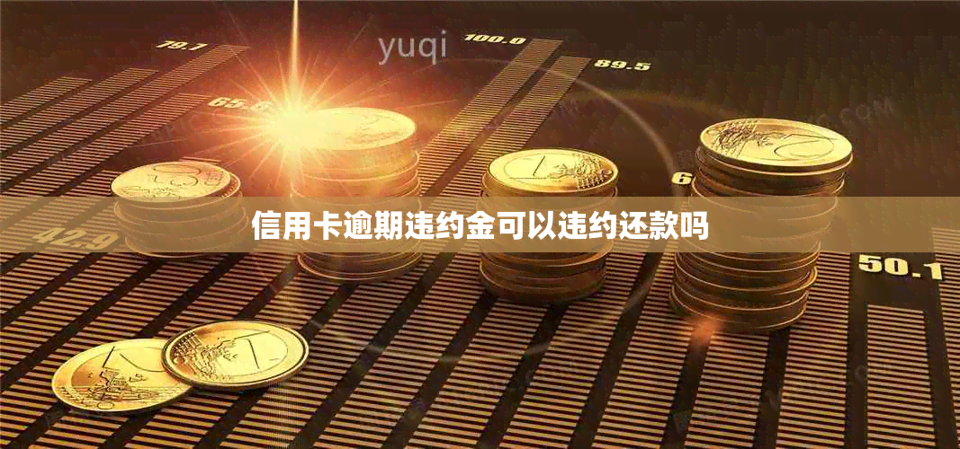 信用卡逾期违约金可以违约还款吗