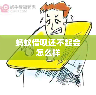 蚂蚁借呗还不起会怎么样