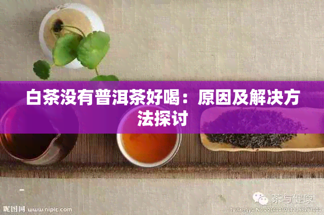 白茶没有普洱茶好喝：原因及解决方法探讨