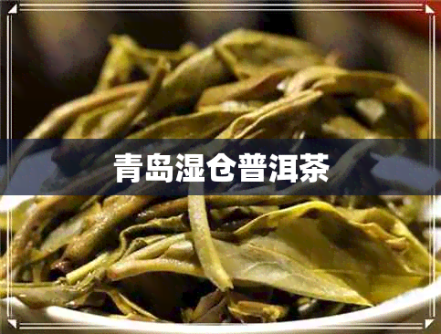 青岛湿仓普洱茶