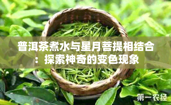 普洱茶煮水与星月菩提相结合：探索神奇的变色现象