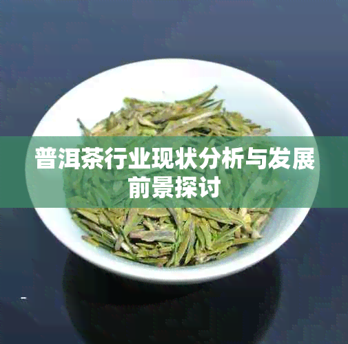 普洱茶行业现状分析与发展前景探讨