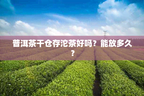 普洱茶干仓存沱茶好吗？能放多久？