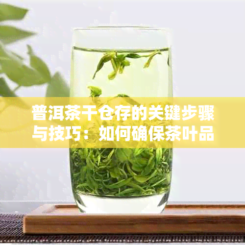 普洱茶干仓存的关键步骤与技巧：如何确保茶叶品质与风味？