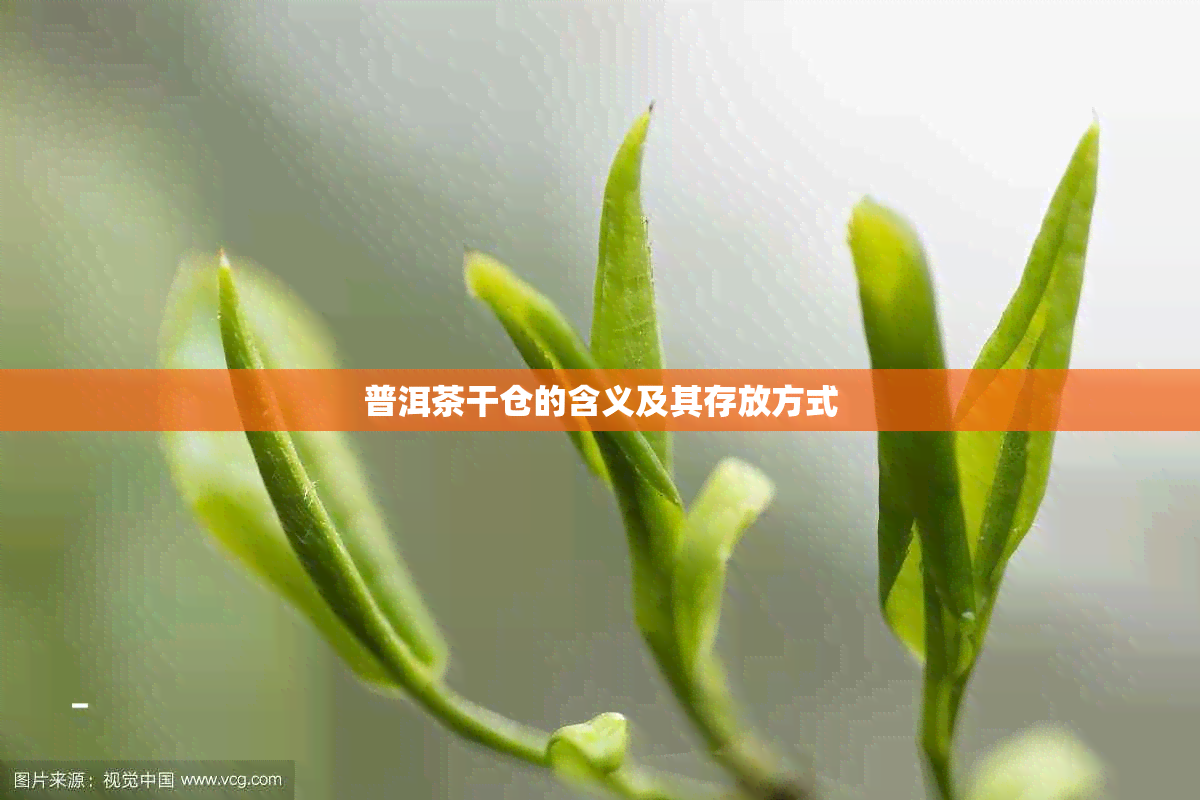 普洱茶干仓的含义及其存放方式