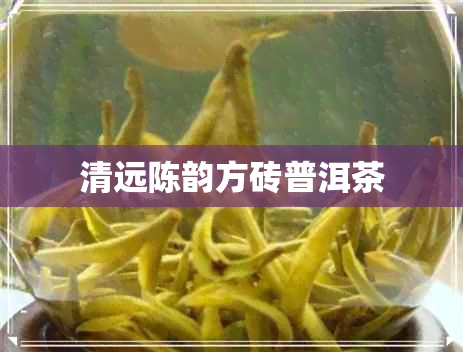 清远陈韵方砖普洱茶