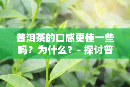 普洱茶的口感更佳一些吗？为什么？- 探讨普洱茶的独特口感及其优势。