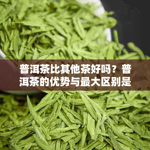 普洱茶比其他茶好吗？普洱茶的优势与更大区别是什么？