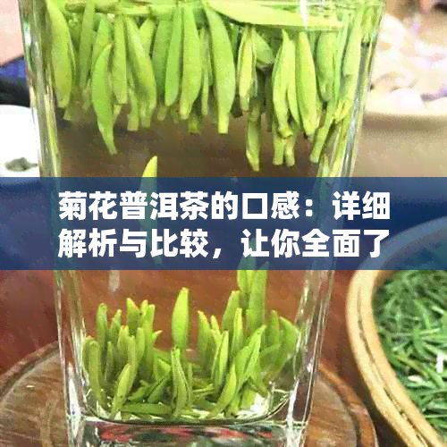 菊花普洱茶的口感：详细解析与比较，让你全面了解这种独特风味的来源