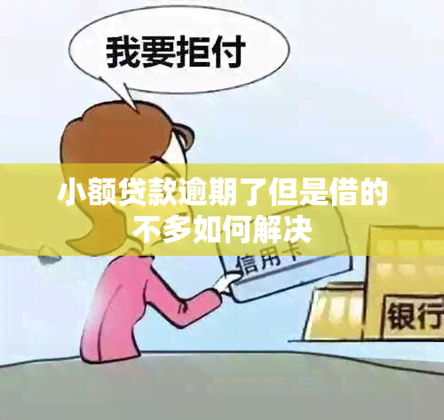 小额贷款逾期了但是借的不多如何解决