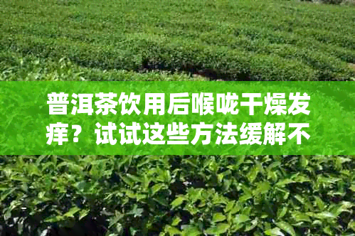 普洱茶饮用后喉咙干燥发痒？试试这些方法缓解不适