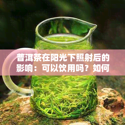 普洱茶在阳光下照射后的影响：可以饮用吗？如何正确保存？