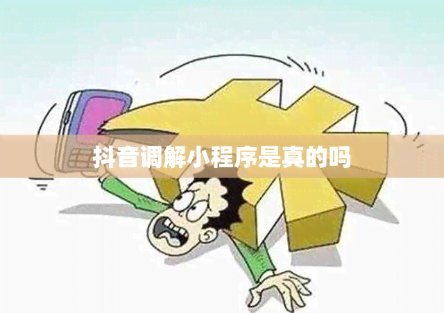 抖音调解小程序是真的吗