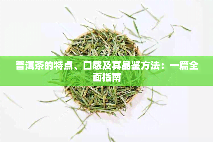 普洱茶的特点、口感及其品鉴方法：一篇全面指南