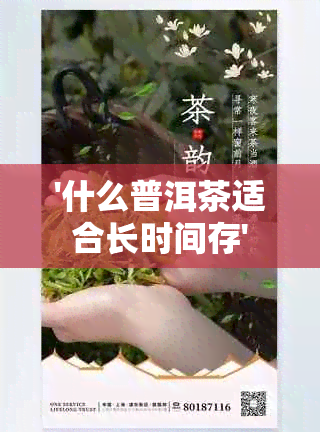 '什么普洱茶适合长时间存'