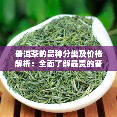 普洱茶的品种分类及价格解析：全面了解最贵的普洱茶种类