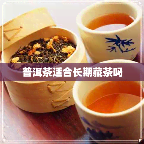 普洱茶适合长期藏茶吗