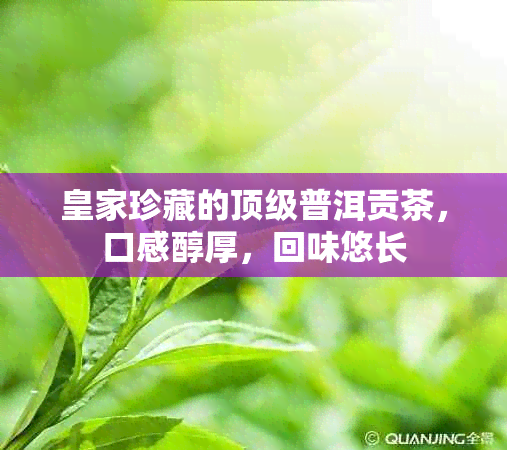 皇家珍藏的顶级普洱贡茶，口感醇厚，回味悠长