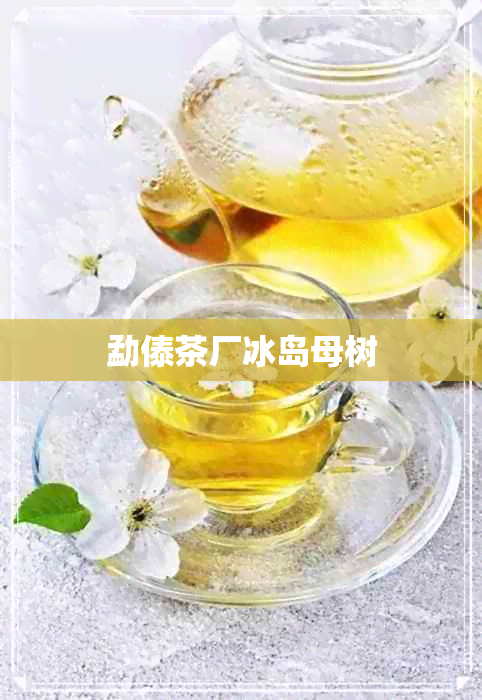 勐傣茶厂冰岛母树