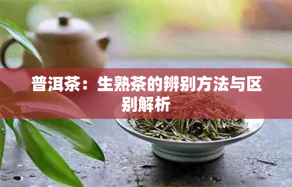 普洱茶：生熟茶的辨别方法与区别解析