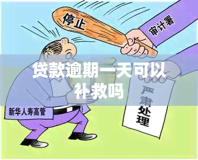 贷款逾期一天可以补救吗