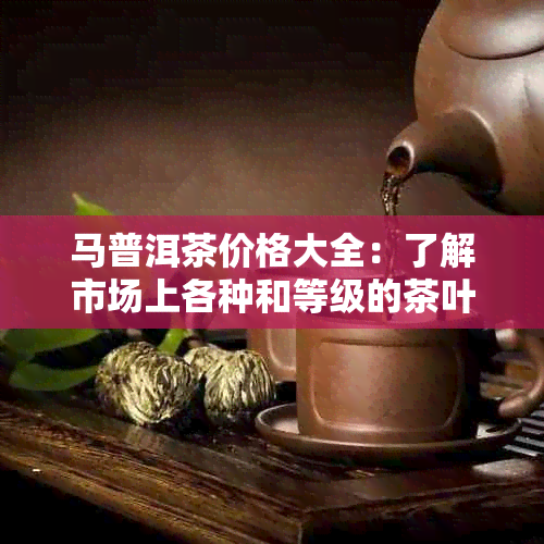 马普洱茶价格大全：了解市场上各种和等级的茶叶价格