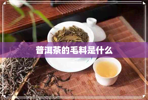 普洱茶的毛料是什么