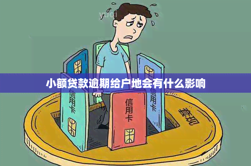 小额贷款逾期给户地会有什么影响