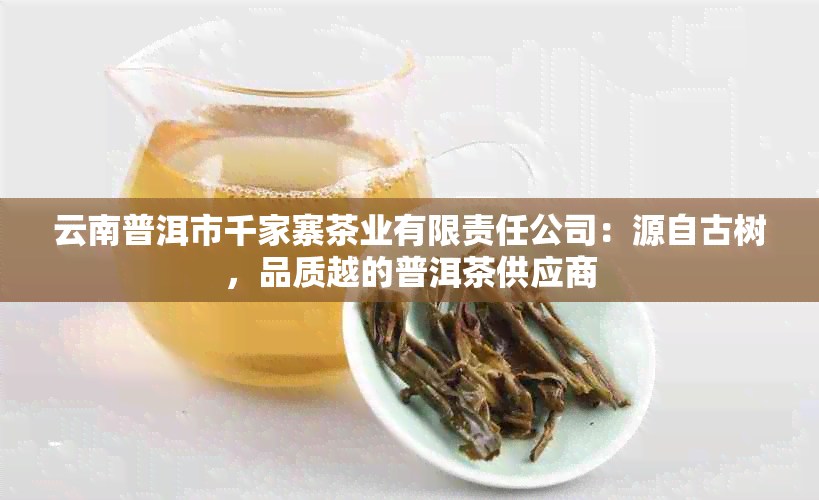 云南普洱市千家寨茶业有限责任公司：源自古树，品质越的普洱茶供应商