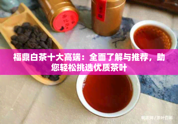 福鼎白茶十大高端：全面了解与推荐，助您轻松挑选优质茶叶