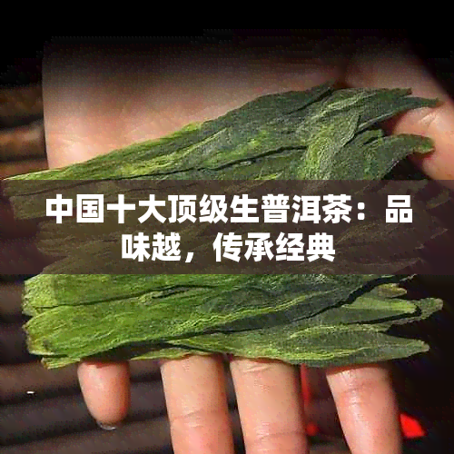 中国十大顶级生普洱茶：品味越，传承经典