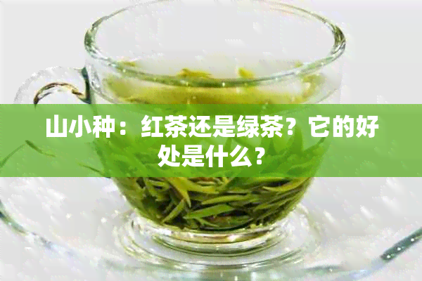 山小种：红茶还是绿茶？它的好处是什么？